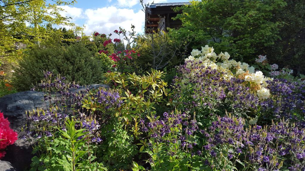 Marie Therese Apartment B&B Lake Tekapo Esterno foto