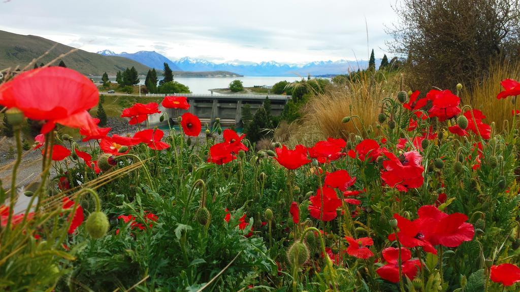 Marie Therese Apartment B&B Lake Tekapo Esterno foto